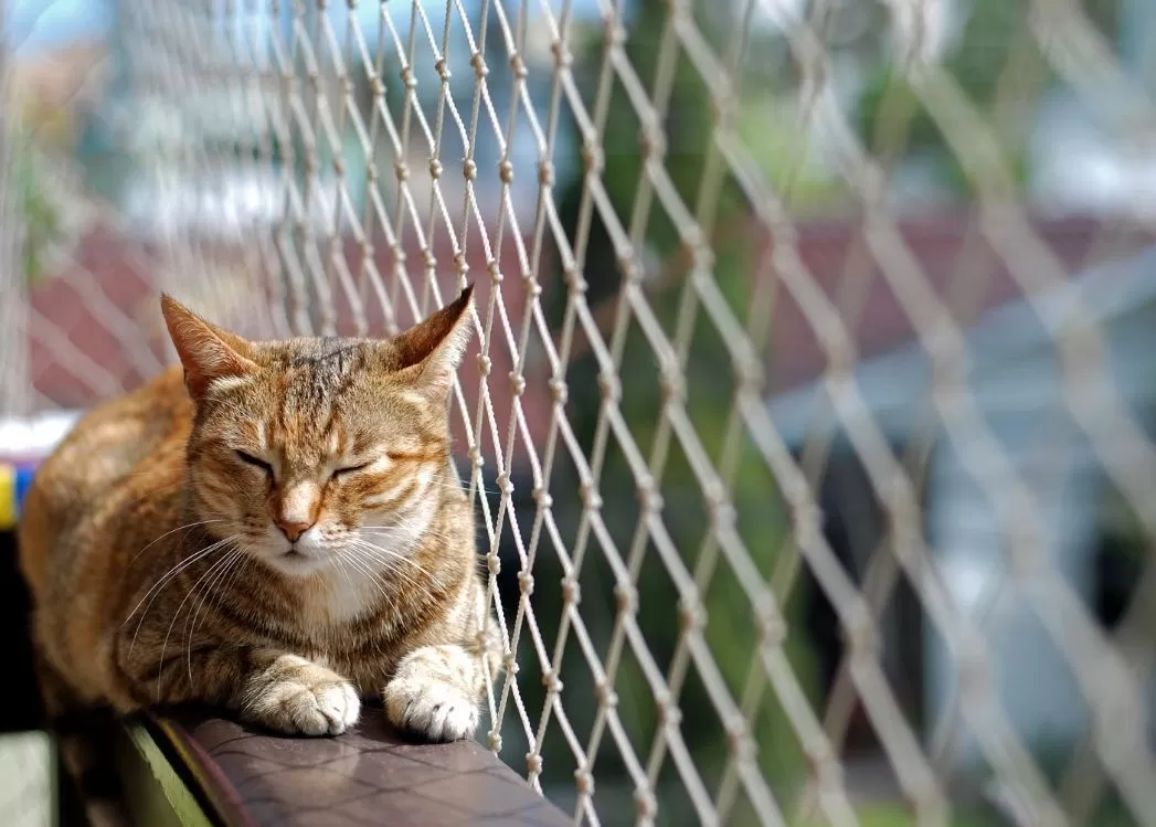 Bina Boşluğu Güvenlik Filesi